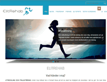 Tablet Screenshot of elitrehab.com